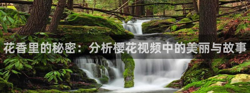 千渭星空国际影城今日影讯