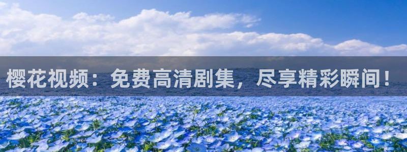 星空mv视频免费观看
