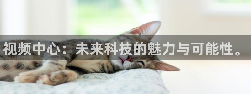 星空电影影院在线观看免费完整版