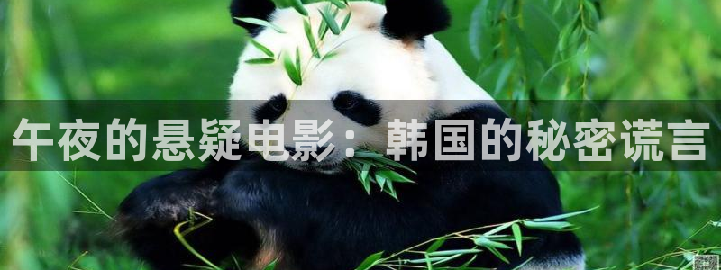这就是灌篮星空影视
