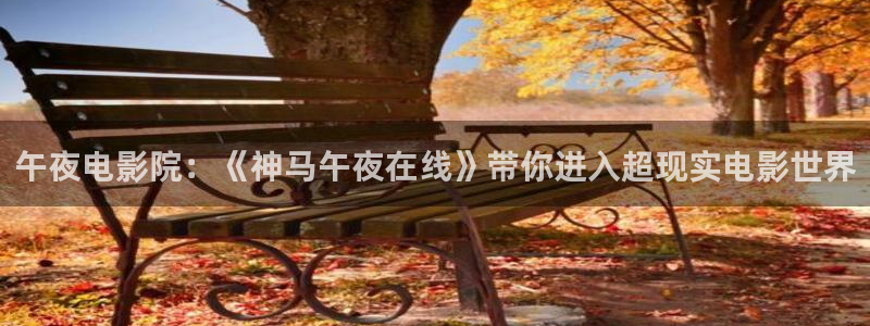 星空视频在线观看免费播放电影