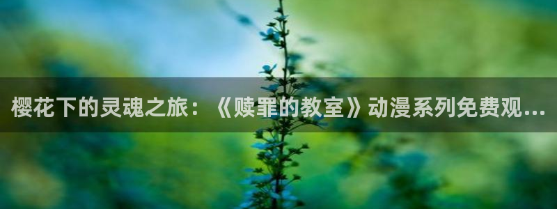 星空影视在线视频