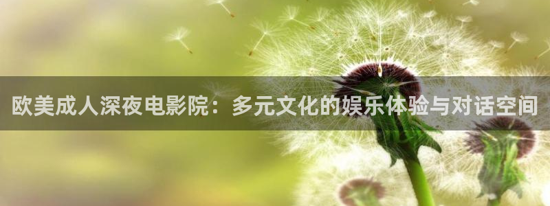 星空影视是什么
