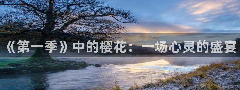星空视频影视大全免费观看在线