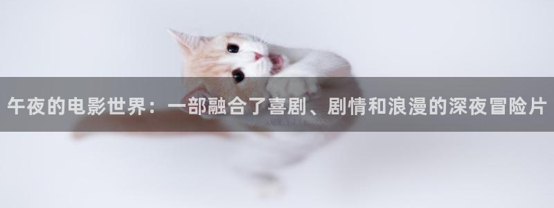 梵高的星空的电影