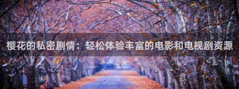 星辰影院免费完整版