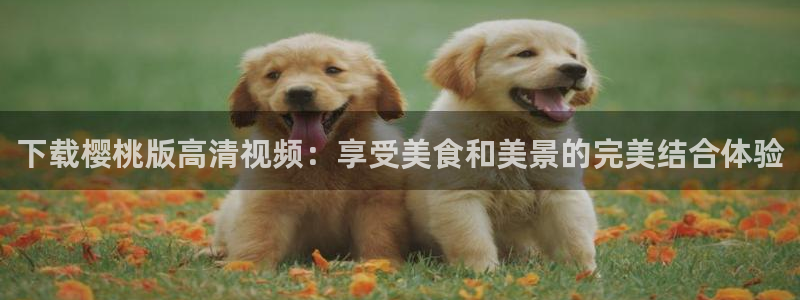 星辰影院电视免费播放音乐