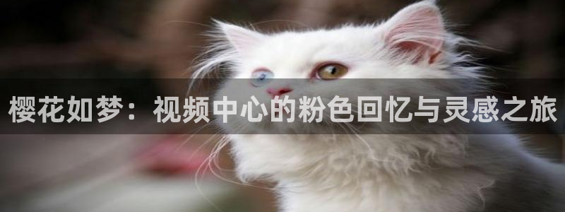 星空传媒影视在线观看