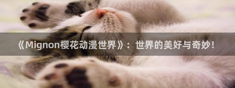 草莓视频在线免费观看星辰影院