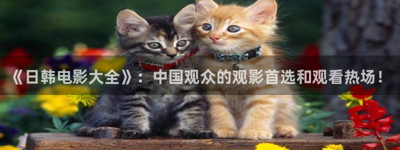 星辰影院在线播放观看免费