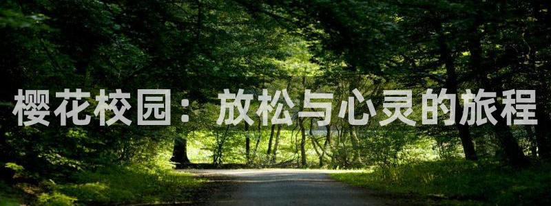 星空视频在线观看完整版
