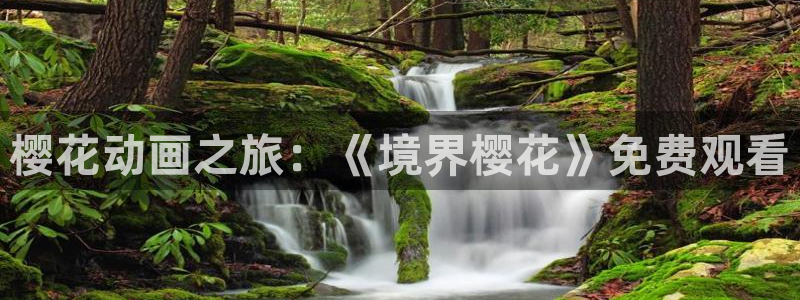 星空视频影视大全免费观看高清