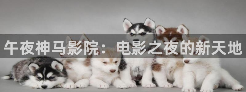星辰影院最新电视剧免费观看
