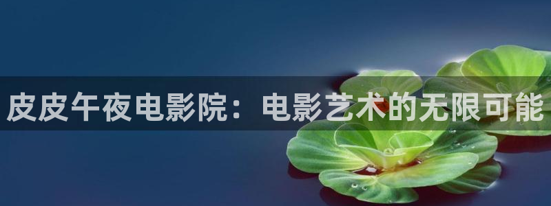 2024星辰影院免费观看电影