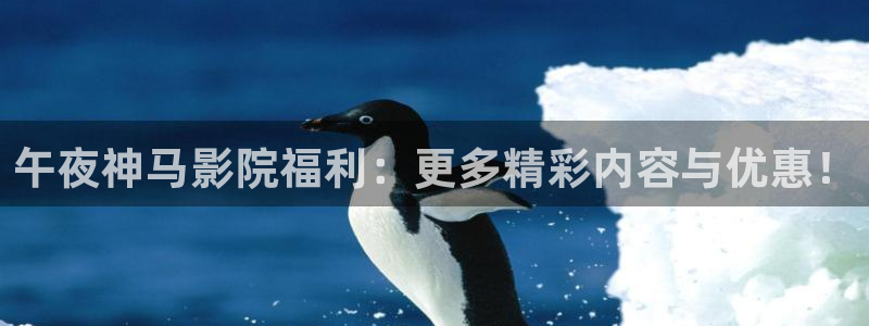 星辰影院在线电影