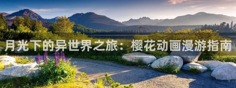 星空影视怎么下载