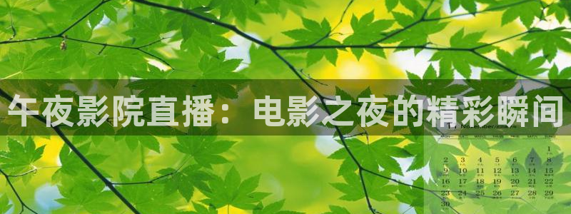 星辰影院动漫